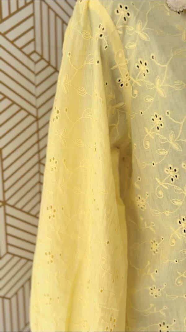 Beautiful Hakoba Cotton short tops/2186 - Image 3